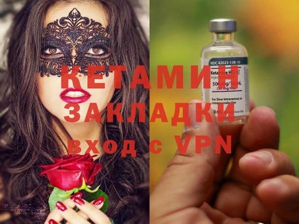 индика Новодвинск