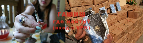 индика Новодвинск
