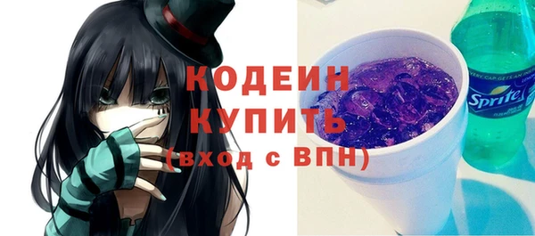 индика Новодвинск