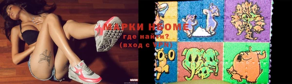индика Новодвинск
