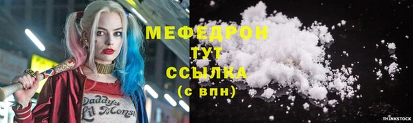индика Новодвинск