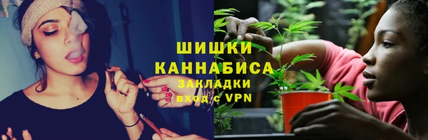 индика Новодвинск