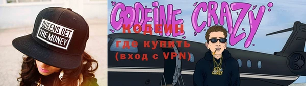 индика Новодвинск