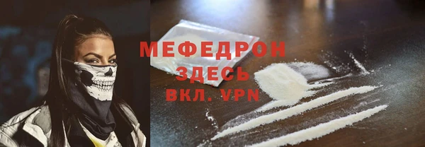 индика Новодвинск