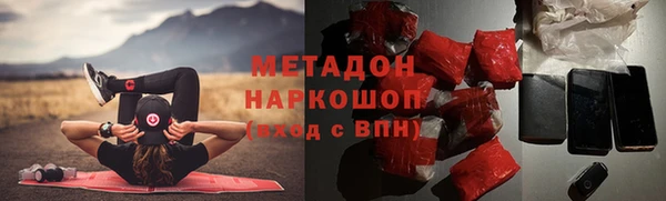 индика Новодвинск