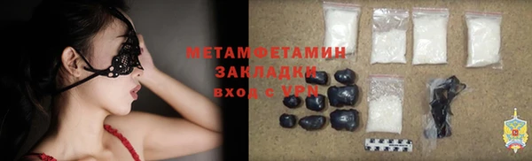 индика Новодвинск