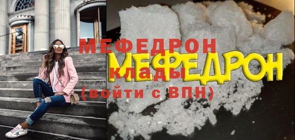 индика Новодвинск