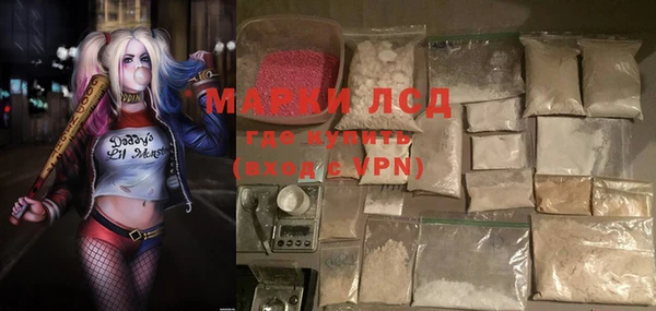 индика Новодвинск