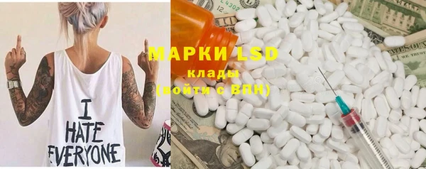 индика Новодвинск